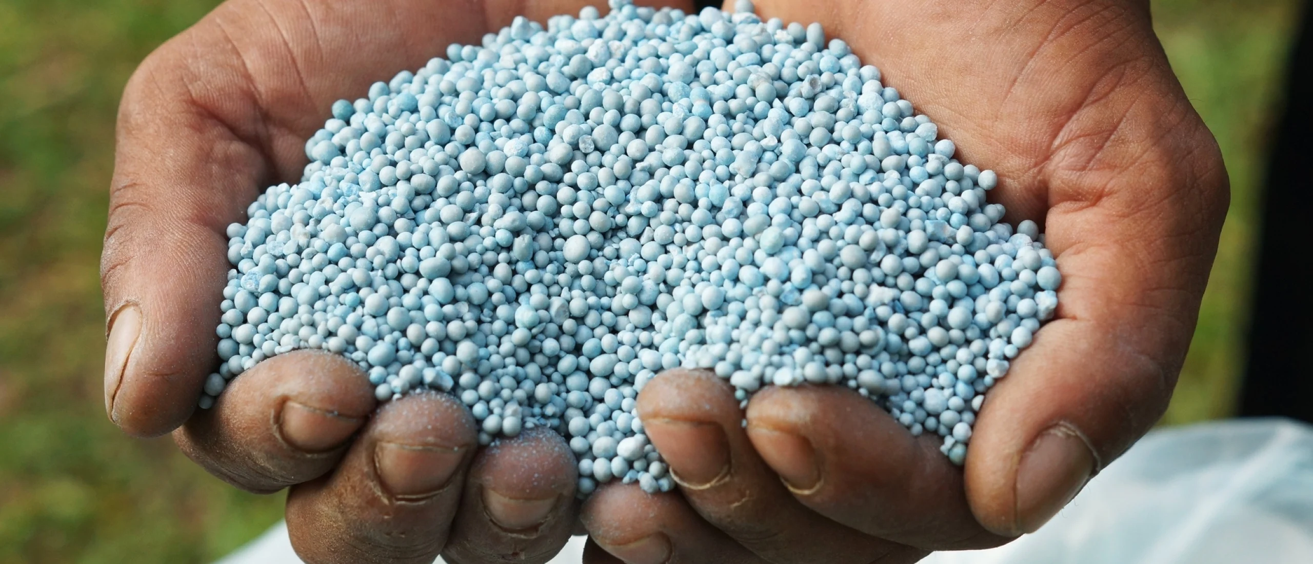 Ecopots Tuingereedschap Verkoop 3 Ecopots Tuingereedschap Verkoop -Ecopots Tuingereedschap Verkoop wat is kunstmest en waarvoor kun je het gebruiken 2560x1100 1